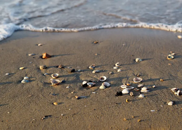 Modern Flat With Terrace Near The Sea-beahost Апартаменти Бібіоне